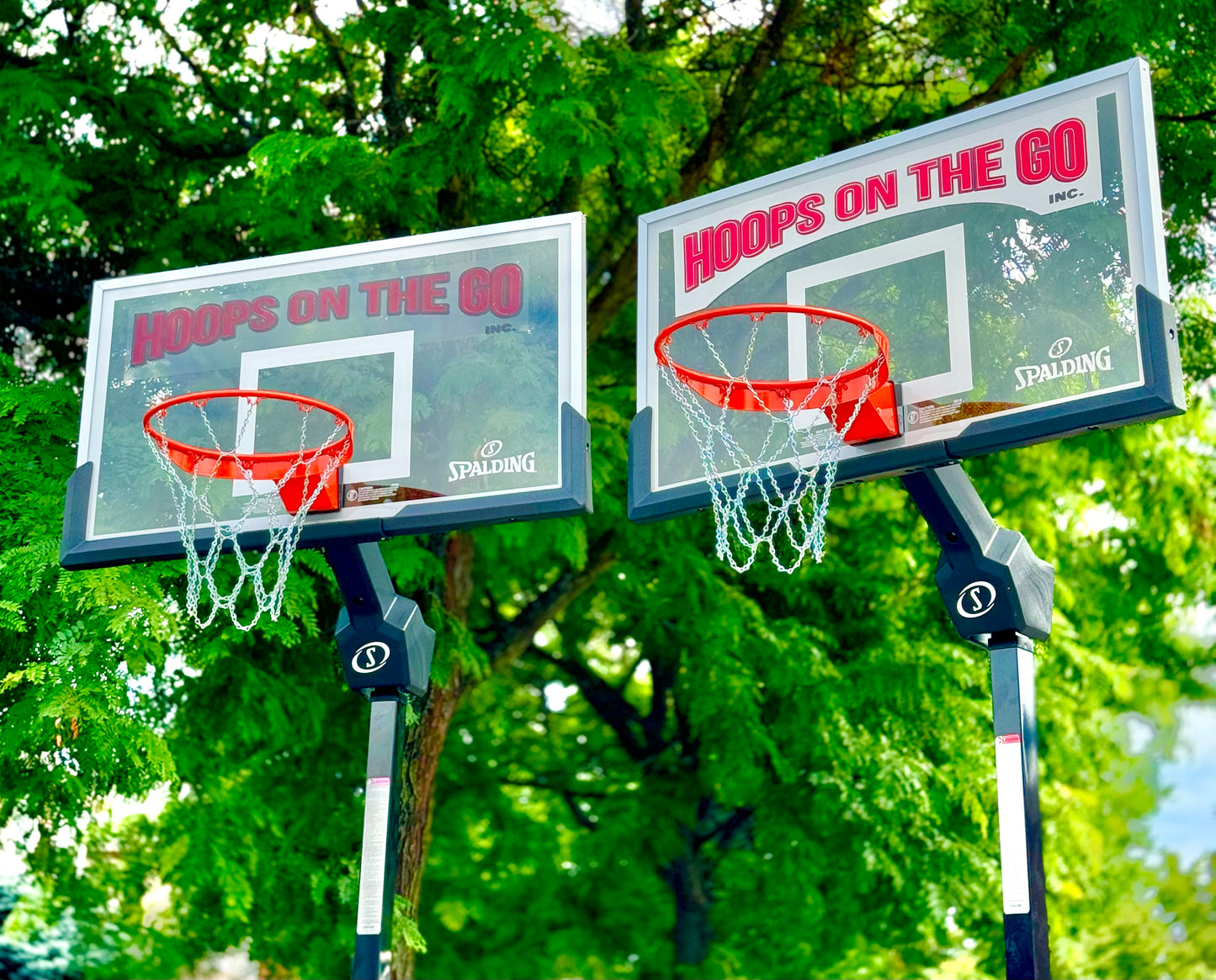 Premium Spalding Net 4